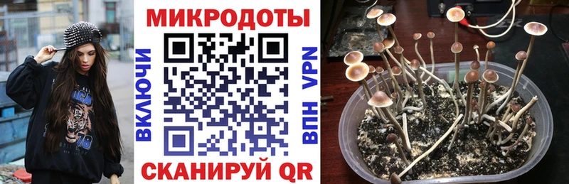 даркнет Telegram  гидра ТОР  Верхняя Салда  цены наркотик  Псилоцибиновые грибы Psilocybe 
